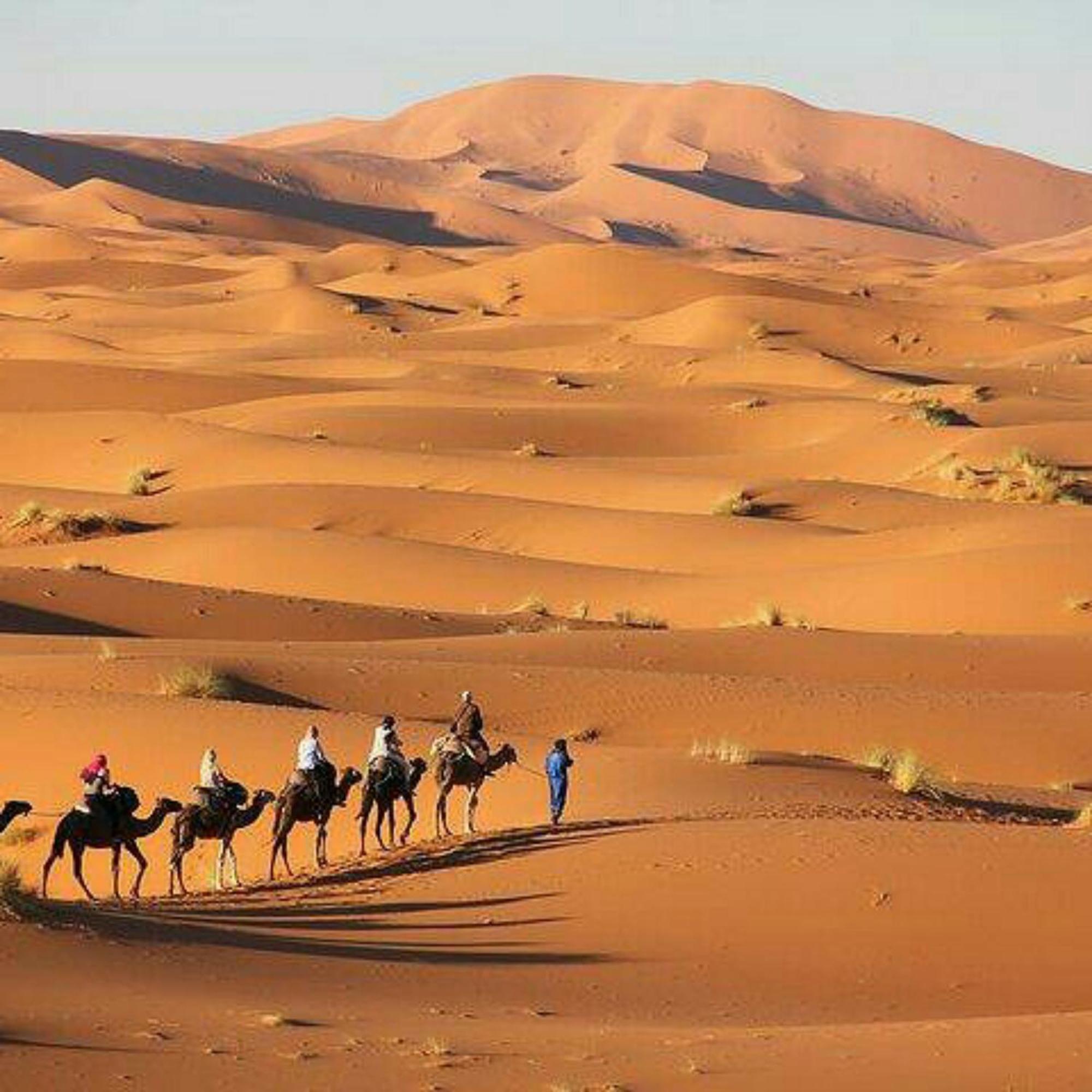 Best Desert Luxury Camp Merzouga Esterno foto
